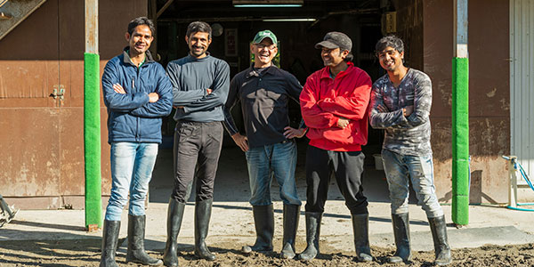 技能実習・育成就労